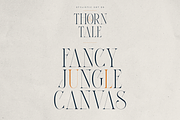 Thorn & Tale – A Refined Serif Font, a Serif Font by VP Fonts (Thumbnail 23 of 30)