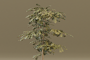 The Red Cherry Tree, a Plants & Tree 3D Model by FuturePastCreatives (Thumbnail 5 of 7)