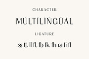 dofline Sans Serif Font, a Sans Serif Font by Humaira_std (Thumbnail 8 of 9)