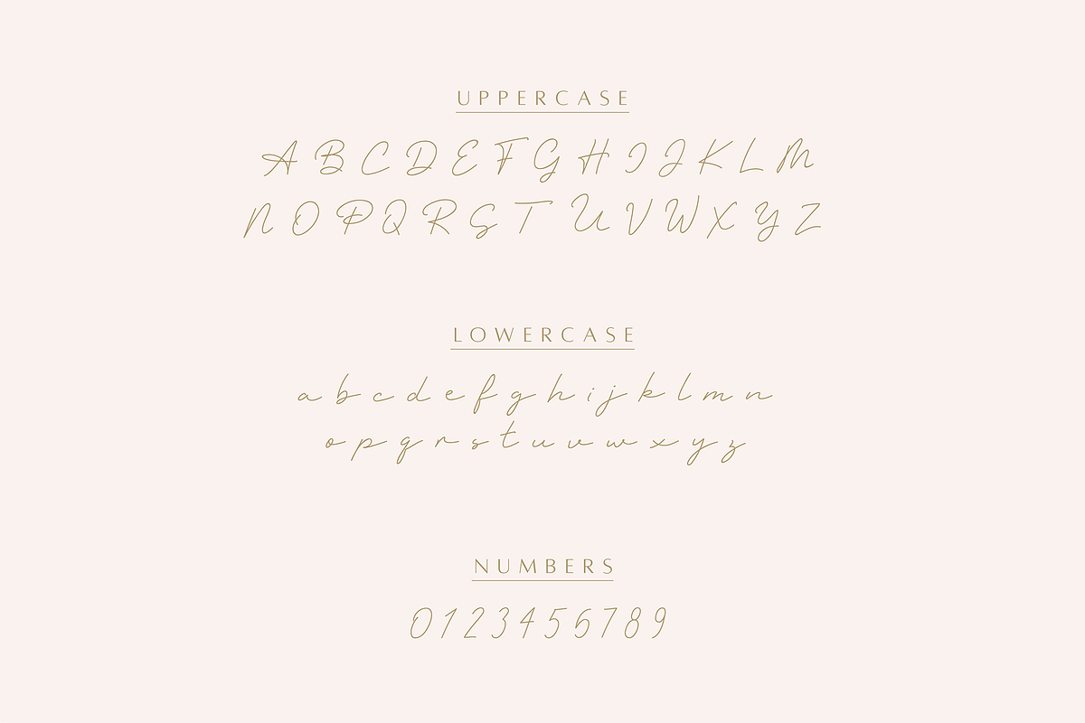 Monoline Boho | A Handwritten Script, a Handwritten Font by Vanem Studio (Photo 6 of 11)