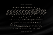 Hamedory Dumbless Modern Calligraphy, a Script Font by Denustudios (Thumbnail 12 of 12)