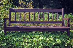 Bench overgrown with weeds, a Nature Photo by BOOCYS