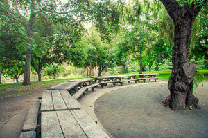 Long Line of Picnic Tables (Photo)