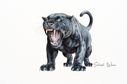 Elegant Black Panther Watercolor Set, an Illustration by New-School-Wave (Thumbnail 3 of 5)