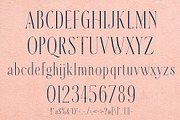 ZAWERMES - Thin Lines Elegance, a Serif Font by HypeWorksCo (Thumbnail 21 of 21)