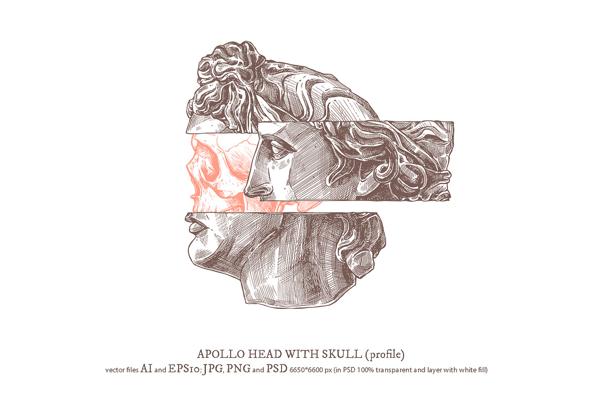 Apollo Belvedere Illustrations, an Illustration by alexrockheart (Photo 7 of 13)
