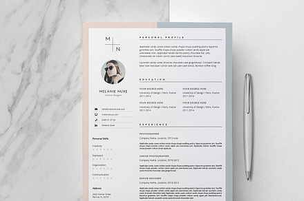 CV Design & Cover Letter / Melanie