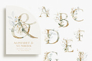 BUNDLE Watercolor Floral Graphic, a Decorative Illustration by Veris Studio (Thumbnail 5 of 35)