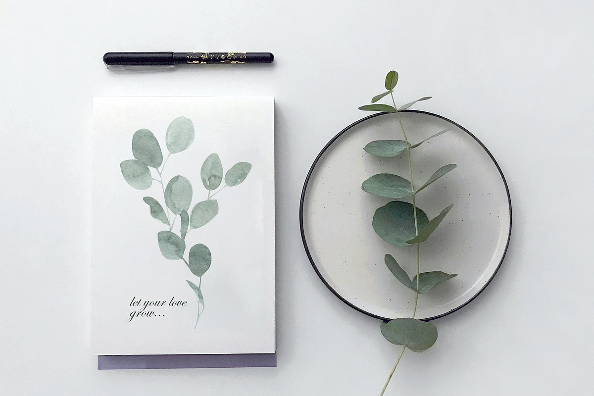 Eucalyptus Foliage Watercolor Set, an Illustration by Catch the Dream Art (Photo 6 of 7)