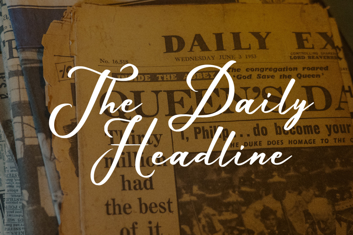 Wellington Script, a Script Font by Debut Studio (Photo 6 of 8)
