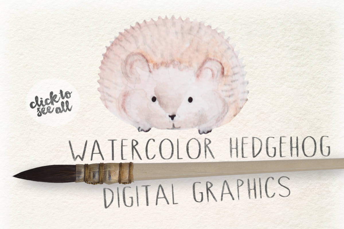 Watercolor Hedgehog Digital Graphics, an Animal Illustration by WeLivedHappilyEverAfter (Photo 3 of 4)