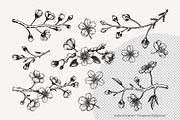 Vintage Cherry Blossom Vector Set, an Object Graphic by Yevheniia (Thumbnail 4 of 9)