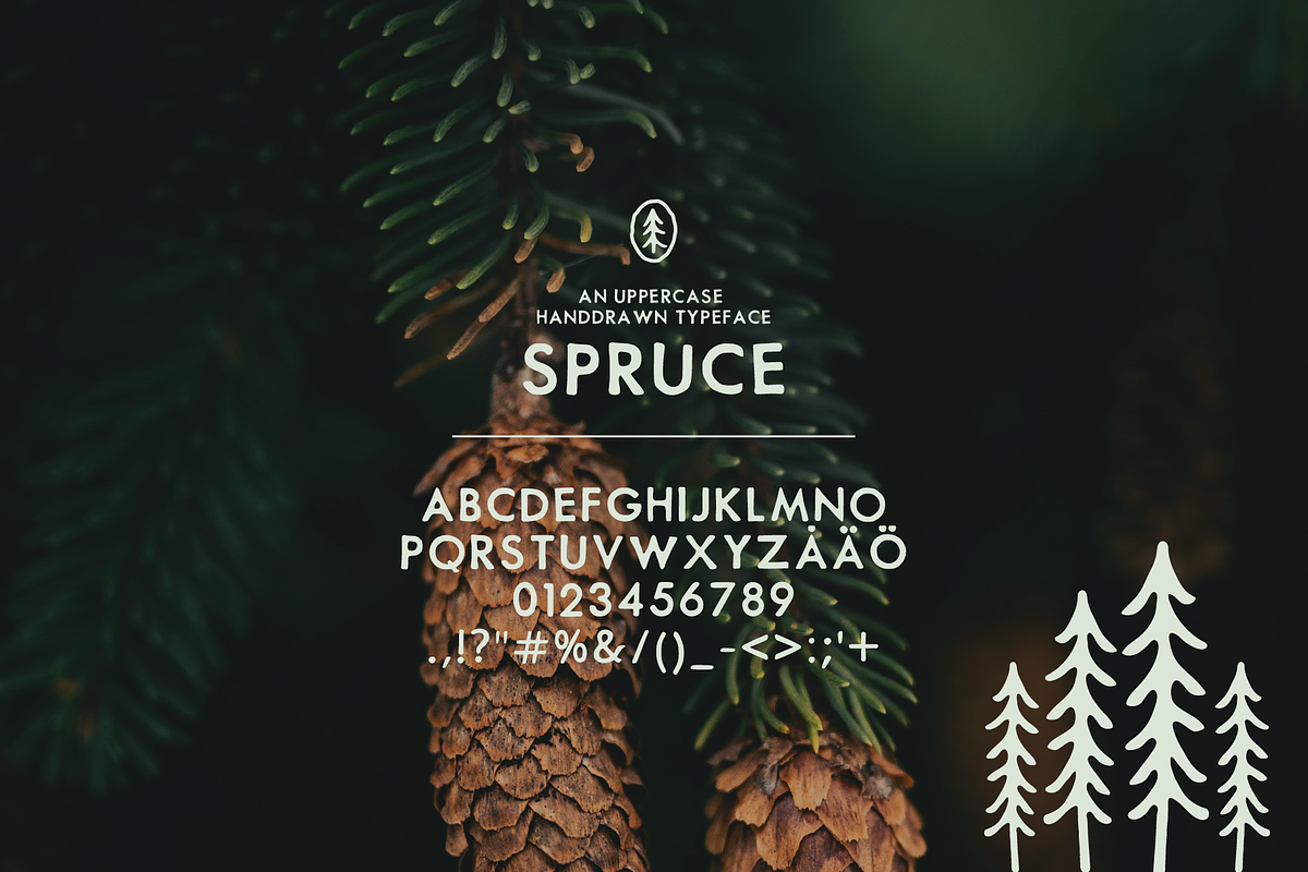 SPRUCE UPPERCASE TYPEFACE, a Handwritten Font by Caroline Holm Design (Photo 2 of 4)