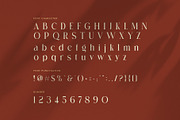Casper Roomer Elegant Serif Font, a Serif Font by Perfectype (Thumbnail 7 of 8)