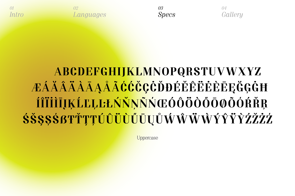 Proto Serif Bold, a Serif Font by Bukva™ Type Foundry (Photo 5 of 13)