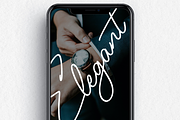 Lyfina Spring Monoline Script, a Script Font by Designsation (Thumbnail 9 of 10)