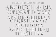 VERNICE LEMANS, a Serif Font by NYDESIGN (Thumbnail 7 of 10)