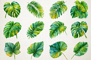 Watercolor Tropical Leaves Clipart, a Seasonal Illustration by RobertsArt (Thumbnail 2 of 7)
