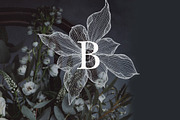 Mystic Floral Line Art Illustrations, an Illustration by Laras Wonderland (Thumbnail 6 of 9)