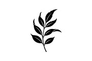 Hand Drawn Leaf Line Art Bundle, an Illustration by hafijul (Thumbnail 42 of 51)