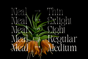Meal - Serif Display Family, a Serif Font by Holyline Design (Thumbnail 2 of 15)