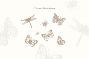 27 Vintage Botanical Illustrations, an Illustration by Anna Smirnova (Thumbnail 4 of 12)