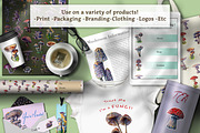 Hand Painted Mushroom Set, an Illustration by The Curio Cabinet (Thumbnail 2 of 6)