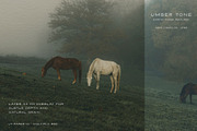 Earthy Paper Textures & Frames, a Texture Graphic by alonahaidash (Thumbnail 16 of 21)