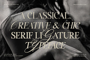 Silver Garden - Nostalgic Font Duo, a Serif Font by SilverStag Type Foundry (Thumbnail 11 of 26)