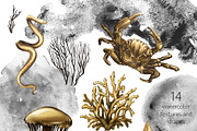 GOLDEN SEA, an Animal Illustration by Eisfrei (Thumbnail 2 of 11)