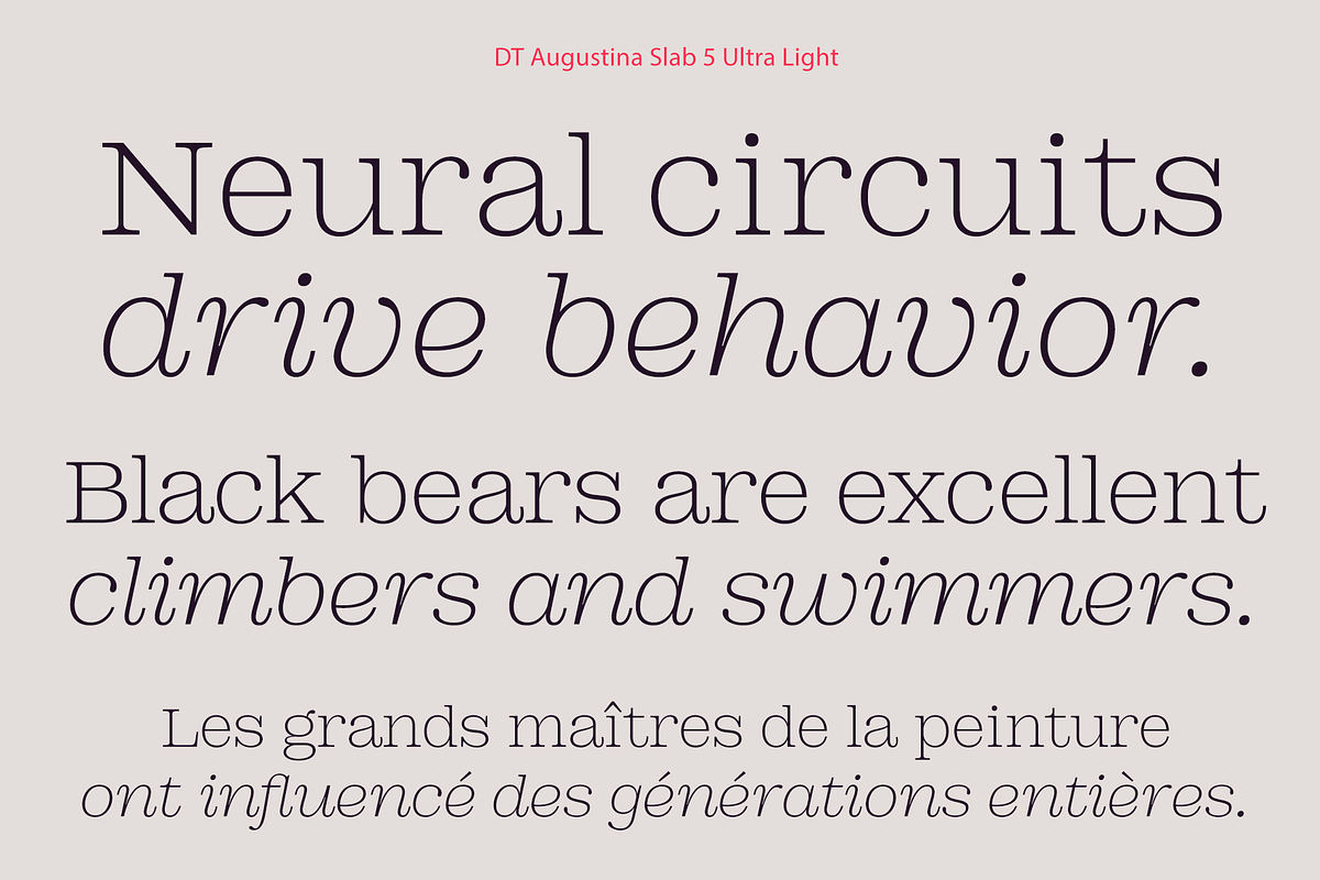DT Augustina Slab 5 Subfamily, a Slab Serif Font by Deveze Type Foundry (Photo 4 of 31)