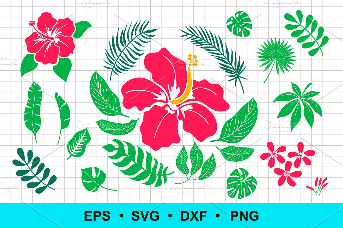 Hibiscus | Tropical leaves | Vector, an Object Graphic by Elena Nesterova (Photo 1 of 4)