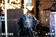 Snow Effect Overlays, a Texture Graphic by NassyArt (Thumbnail 4 of 9)