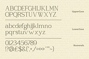Glojean – Modern Elegant Serif, a Serif Font by Vadovastd (Thumbnail 2 of 8)