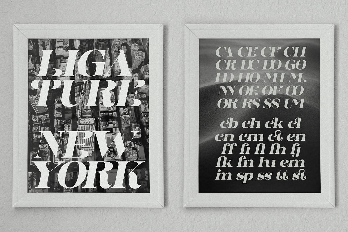Dynasti Display Font, a Serif Font by Megatype (Photo 10 of 11)