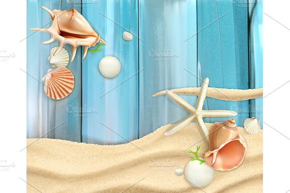 Seashells On Sand