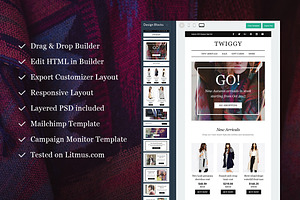 Twiggy E-Newsletter Builder Access