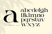 Gauker - Modern Ligatures Serif, a Serif Font by Nirmana Visual (Thumbnail 6 of 12)
