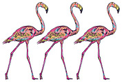 FLAMINGO, an Illustration by Tanya Akhmett (Thumbnail 9 of 11)