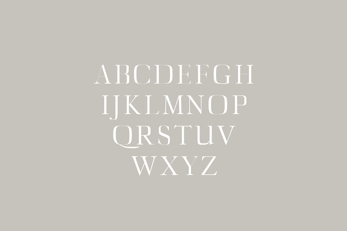 Deidra Serif Font Family Pack preview 2