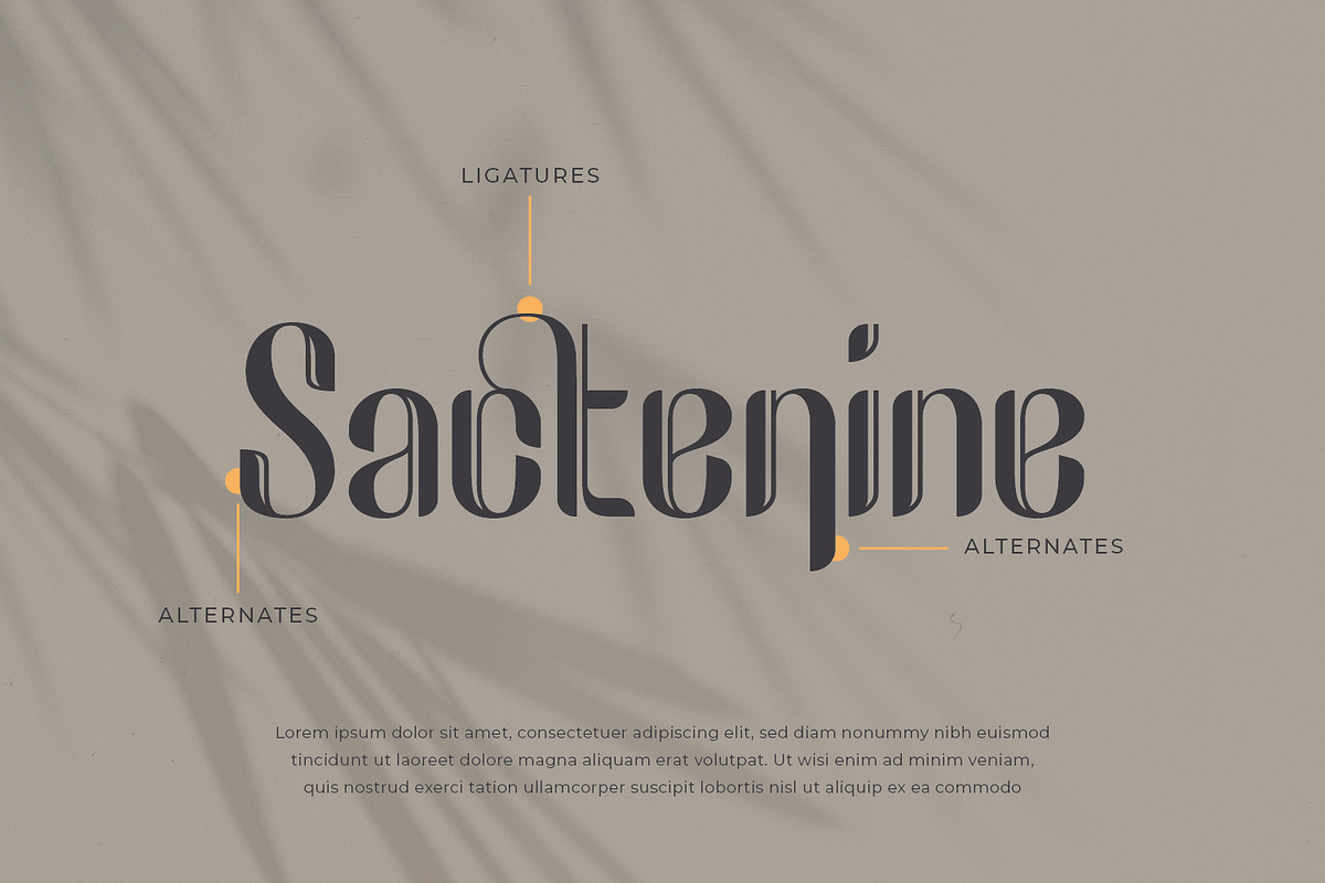 Reaghen - Retro Display Font, a Sans Serif Font by Zeatype (Photo 9 of 11)