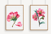 Cherry Blossom Watercolor Clip Art, an Illustration by Libby Wishes (Thumbnail 3 of 7)