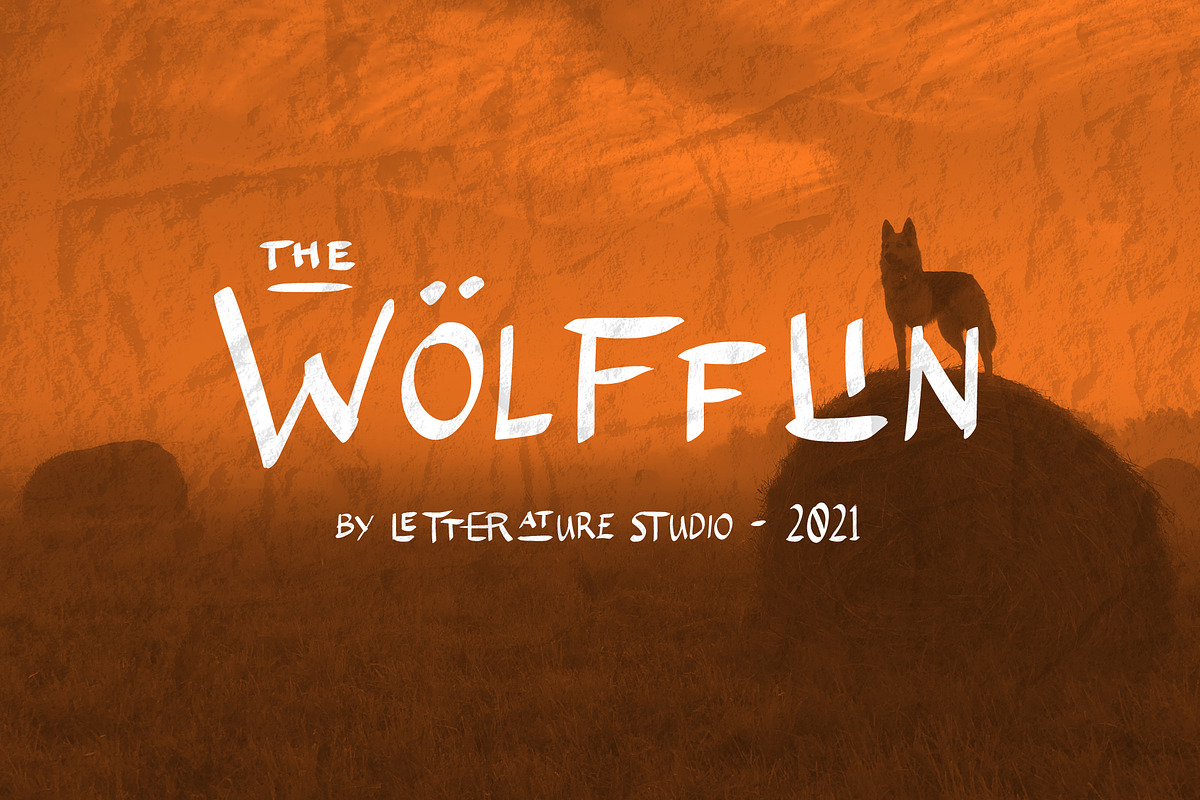 The Wolfflin // Handwritten Font, a Script Font by Letterature Std. (Photo 2 of 11)
