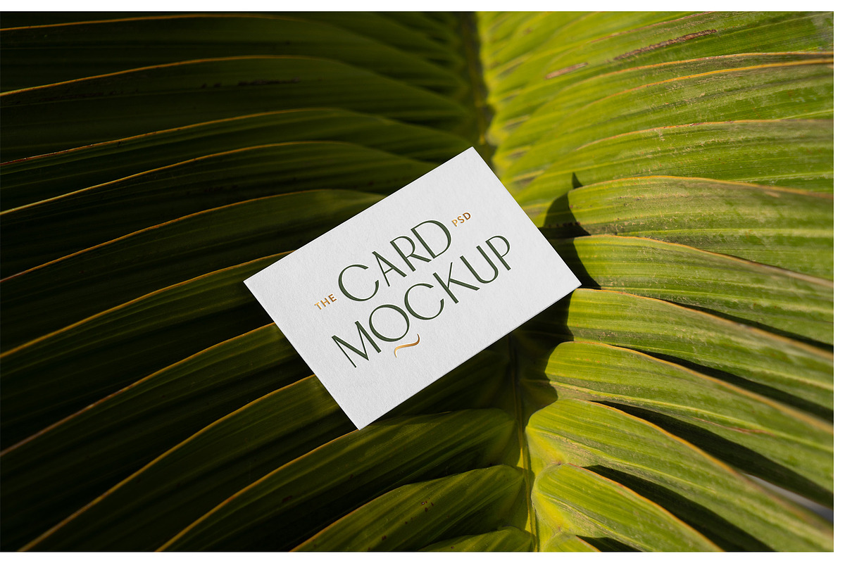 Business Card Mockups - Outdoor, an Advertising Mockup by Mr.Mockup™ (Photo 20 of 23)