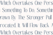 Authentic Megarilo Modern Sans Serif, a Sans Serif Font by Letterena Studios (Thumbnail 9 of 15)