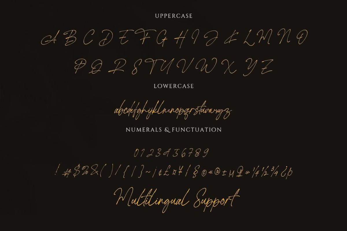 Rottis Amesty Signature Handwriting, a Handwritten Font by CreateBigSupply (Photo 3 of 9)