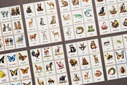 Animals Montessori Cards Bundle, an Education Illustration by Pix Cafe (Thumbnail 4 of 12)