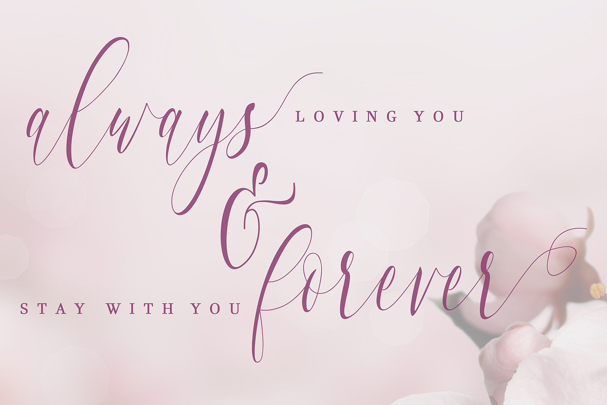 Charlotte Calligraphy preview 7