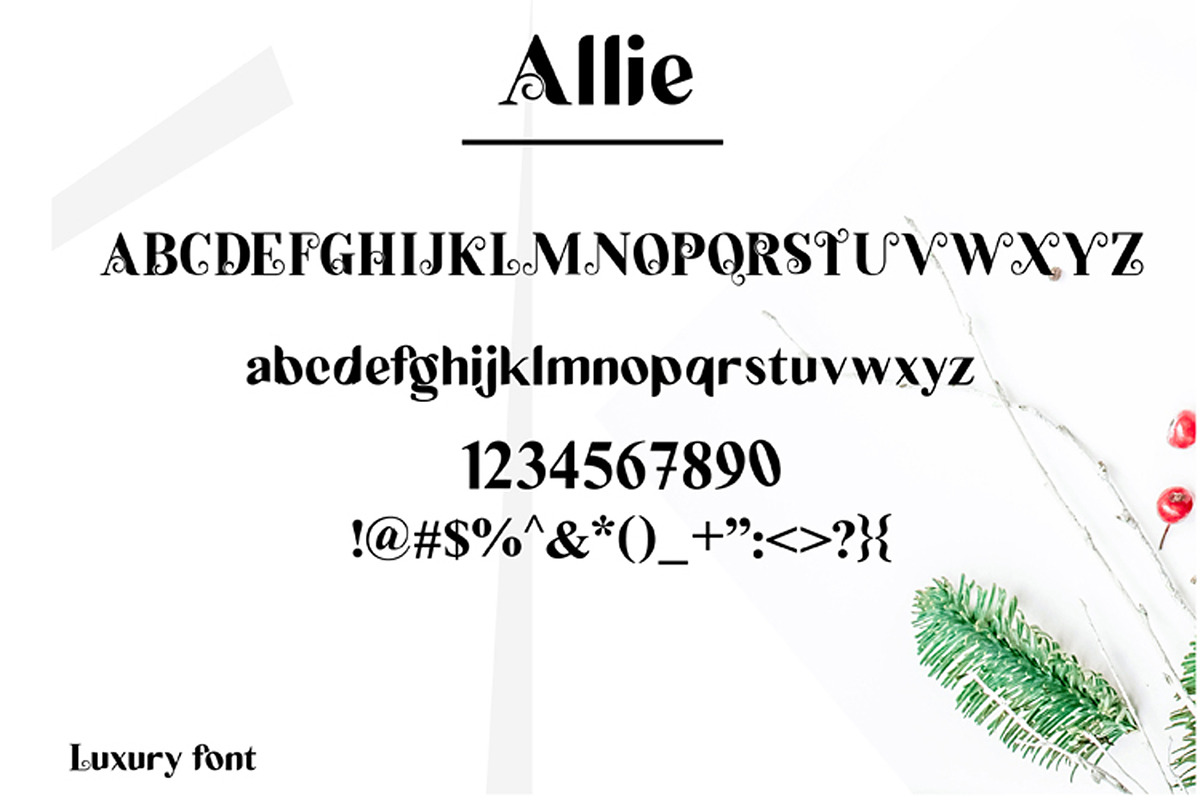 Allie preview 2