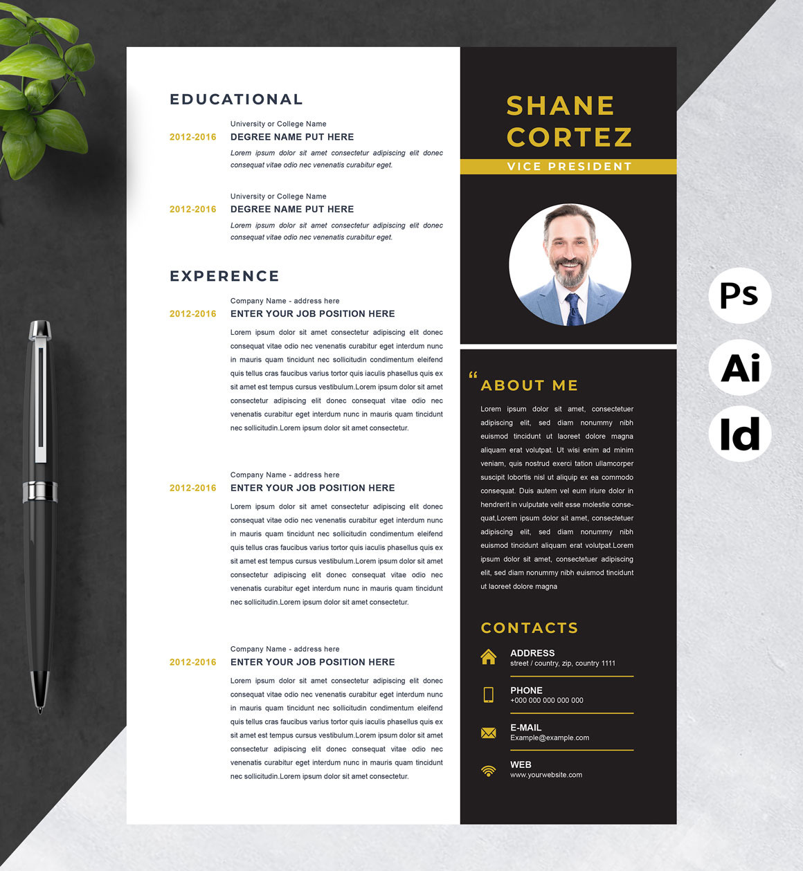 Vice President CV Template